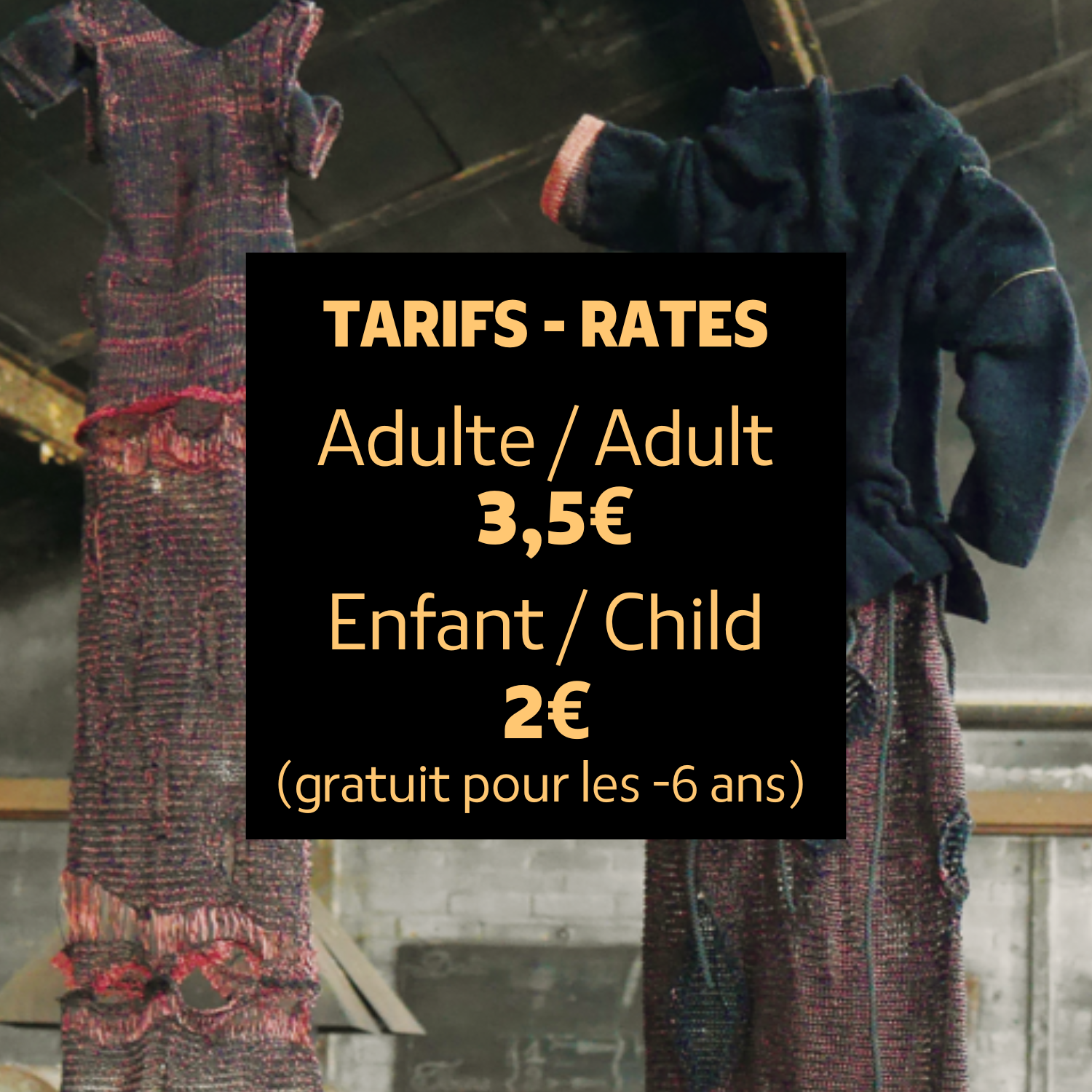 Exposition « Incendies » – Diana Brennan explore la résilience de la Nature - Du 1er avril 2025 au 22 août 2025