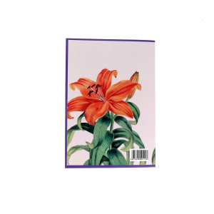 Creative A5 bullet notebooks – The do it yourself notebook